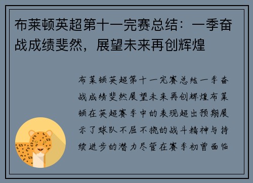 布莱顿英超第十一完赛总结：一季奋战成绩斐然，展望未来再创辉煌